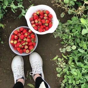 Meet your Posher, Sara